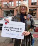 Manchester Global March for Elephants and Rhinos